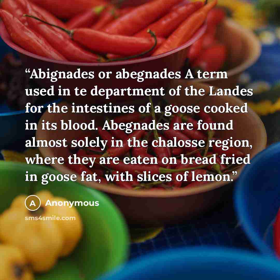 “Abignades or abegnades A term used in te department of the Landes for the intestines of a goose cooked in its blood. Abegnades are found almost solely in the chalosse region, where they are eaten on bread fried in goose fat, with slices of lemon.” quote by Anonymous