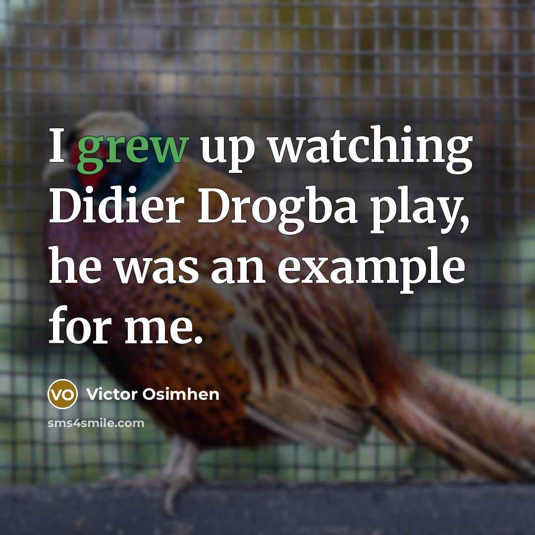 “I grew up watching Didier Drogba play, he was an example for me.” quote by Victor Osimhen