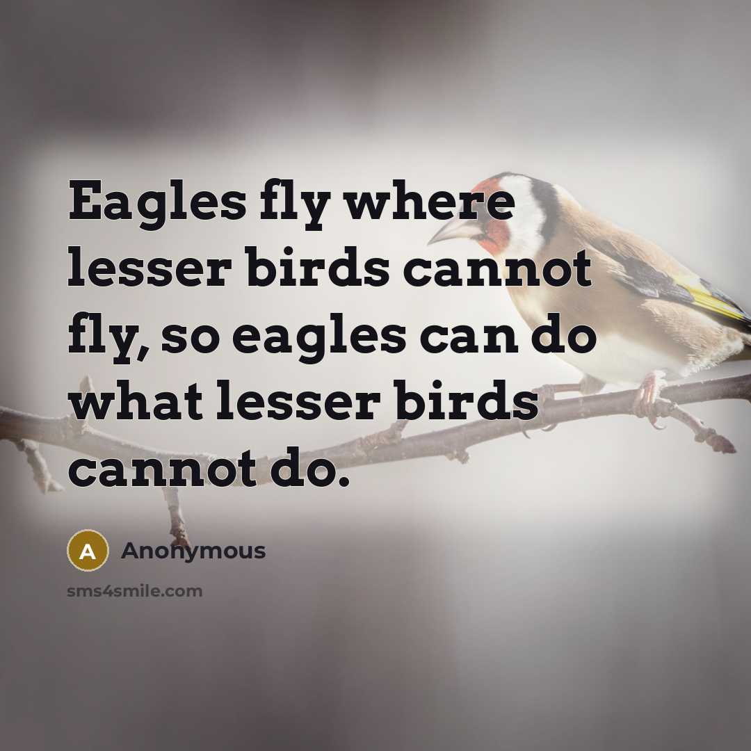 “Eagles fly where lesser birds cannot fly, so eagles can do what lesser birds cannot do.” quote by Anonymous