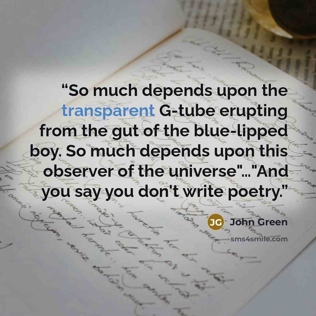 “So much depends upon the transparent G-tube erupting from the gut of the blue-lipped boy. So much depends upon this observer of the universe"…"And you say you don't write poetry.” quote by John Green