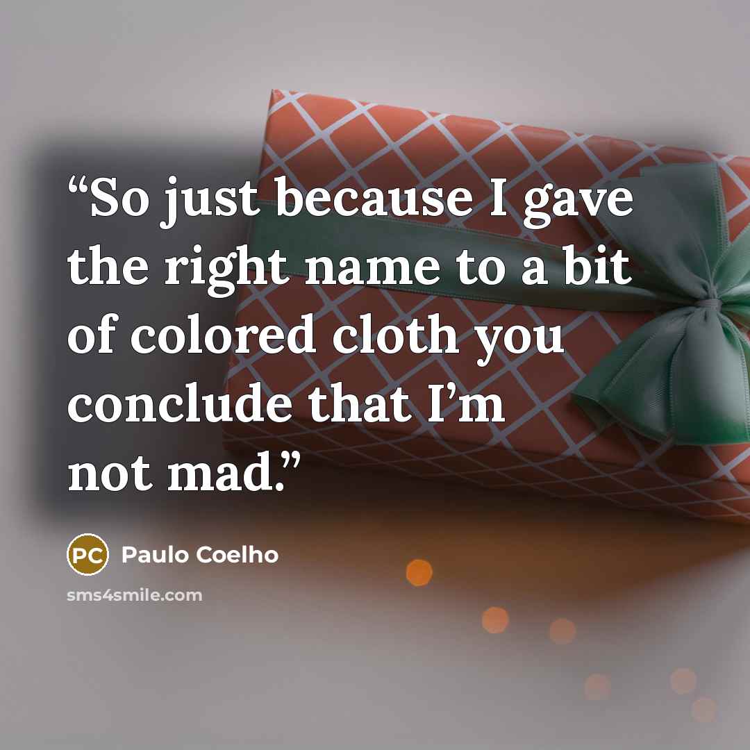 “So just because I gave the right name to a bit of colored cloth you conclude that I’m not mad.” quote by Paulo Coelho