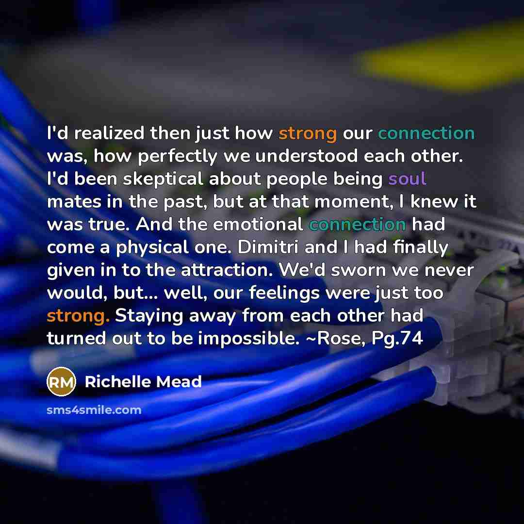 “I'd realized then just how strong our connection was, how perfectly we understood each other. I'd been skeptical about people being soul mates in the past, but at that moment, I knew it was true. And the emotional connection had come a physical one. Dimitri and I had finally given in to the…” quote by Richelle Mead