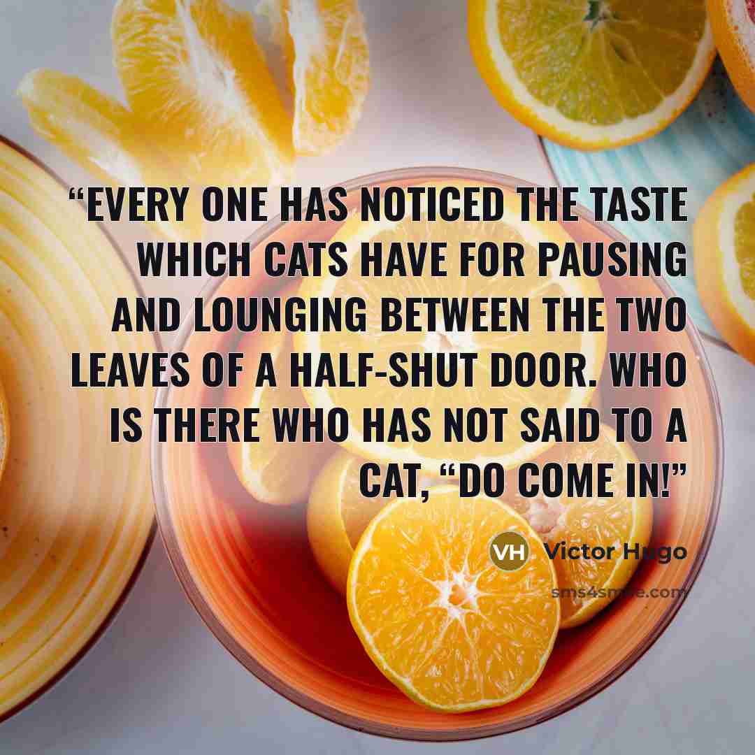 “Every one has noticed the taste which cats have for pausing and lounging between the two leaves of a half-shut door. Who is there who has not said to a cat, “Do come in!” quote by Victor Hugo