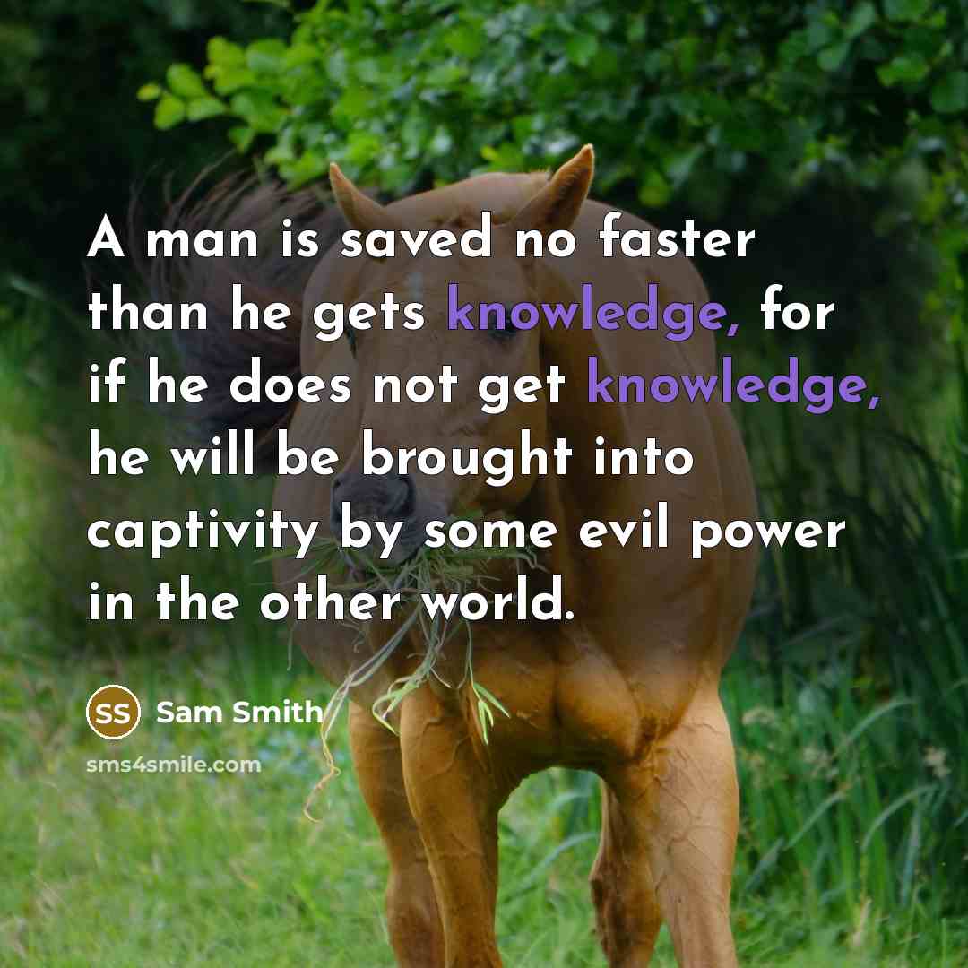 “A man is saved no faster than he gets knowledge, for if he does not get knowledge, he will be brought into captivity by some evil power in the other world.” quote by Sam Smith