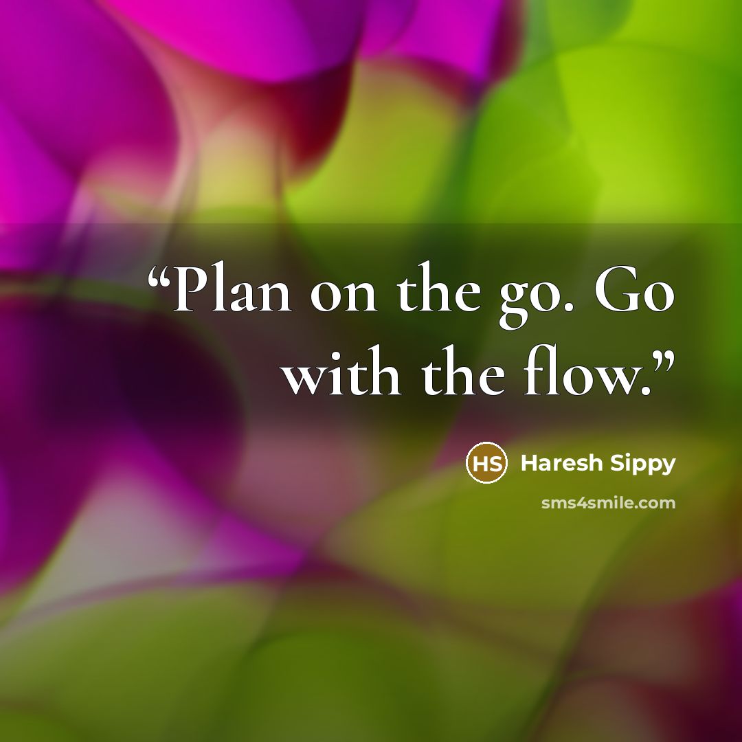 “Plan on the go. Go with the flow.” quote by Haresh Sippy