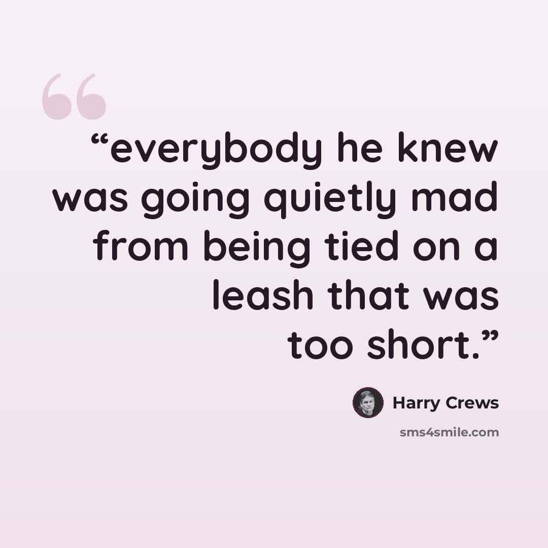 “everybody he knew was going quietly mad from being tied on a leash that was too short.” quote by Harry Crews