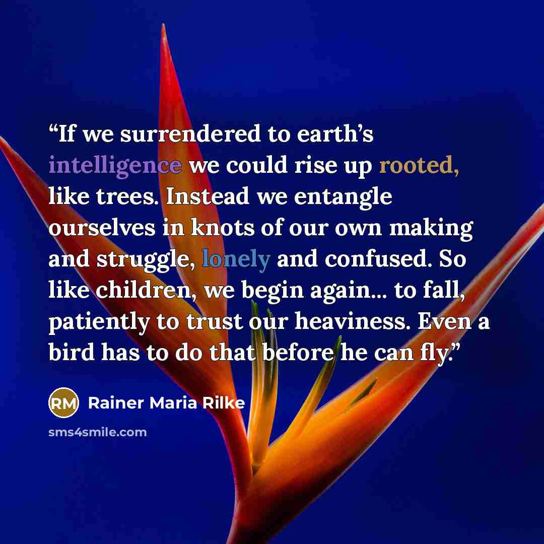 “If we surrendered to earth’s intelligence we could rise up rooted, like trees. Instead we entangle ourselves in knots of our own making and struggle, lonely and confused. So like children, we begin again... to fall, patiently to trust our heaviness. Even a bird has to do that before he can fly.” quote by Rainer Maria Rilke