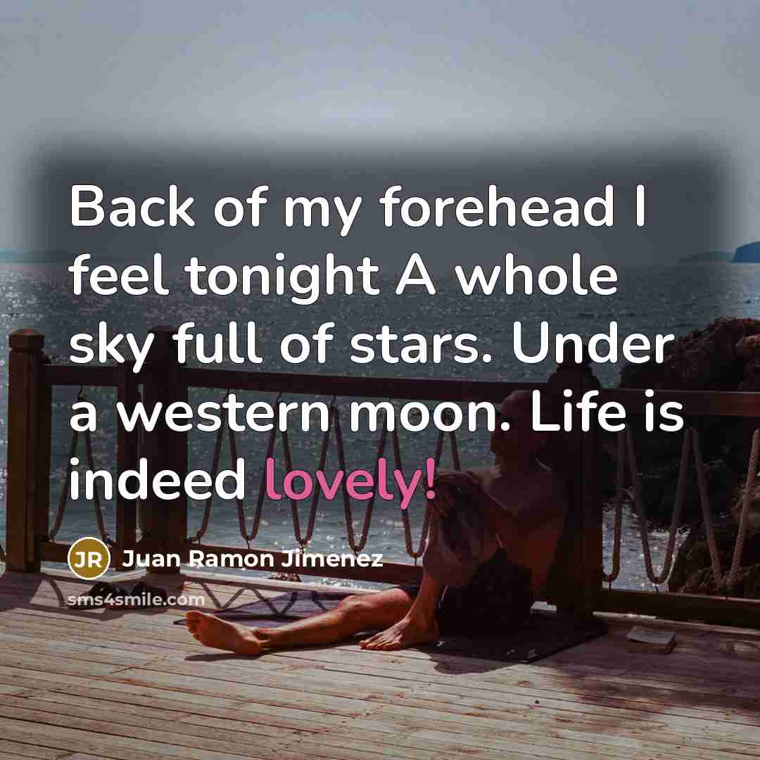 “Back of my forehead I feel tonight A whole sky full of stars. Under a western moon. Life is indeed lovely!” quote by Juan Ramon Jimenez