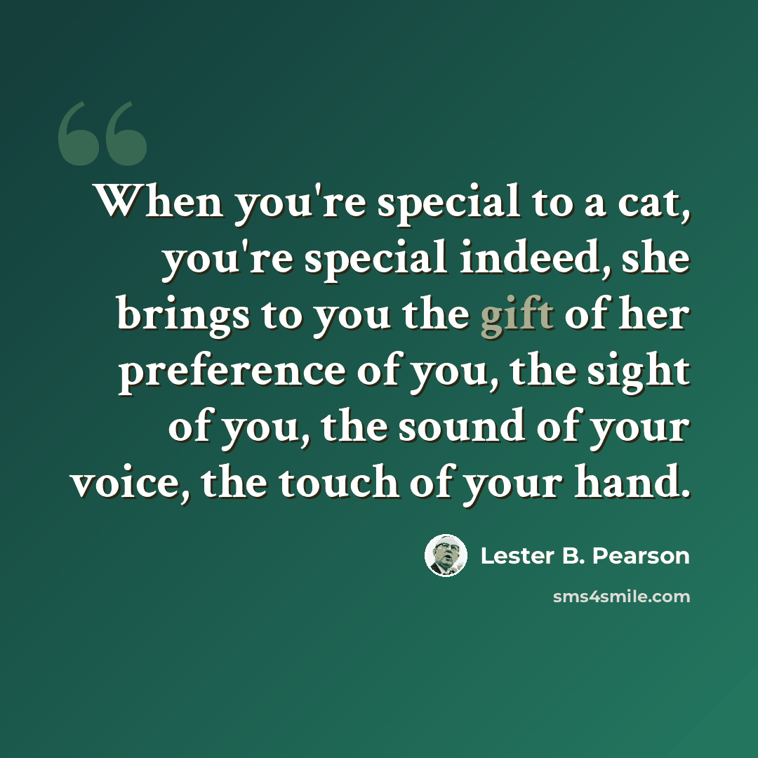 “When you're special to a cat, you're special indeed, she brings to you the gift of her preference of you, the sight of you, the sound of your voice, the touch of your hand.” quote by Lester B. Pearson