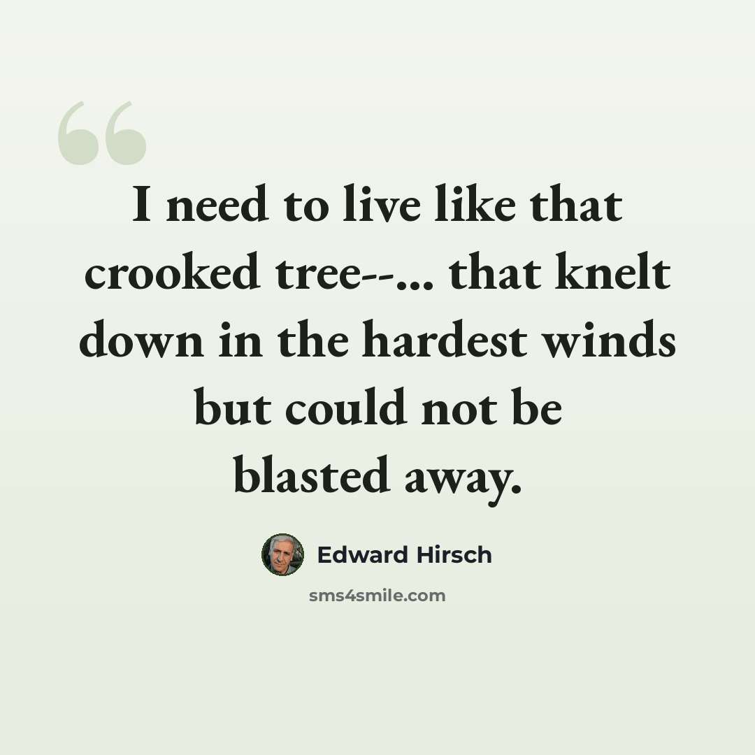 “I need to live like that crooked tree--... that knelt down in the hardest winds but could not be blasted away.” quote by Edward Hirsch