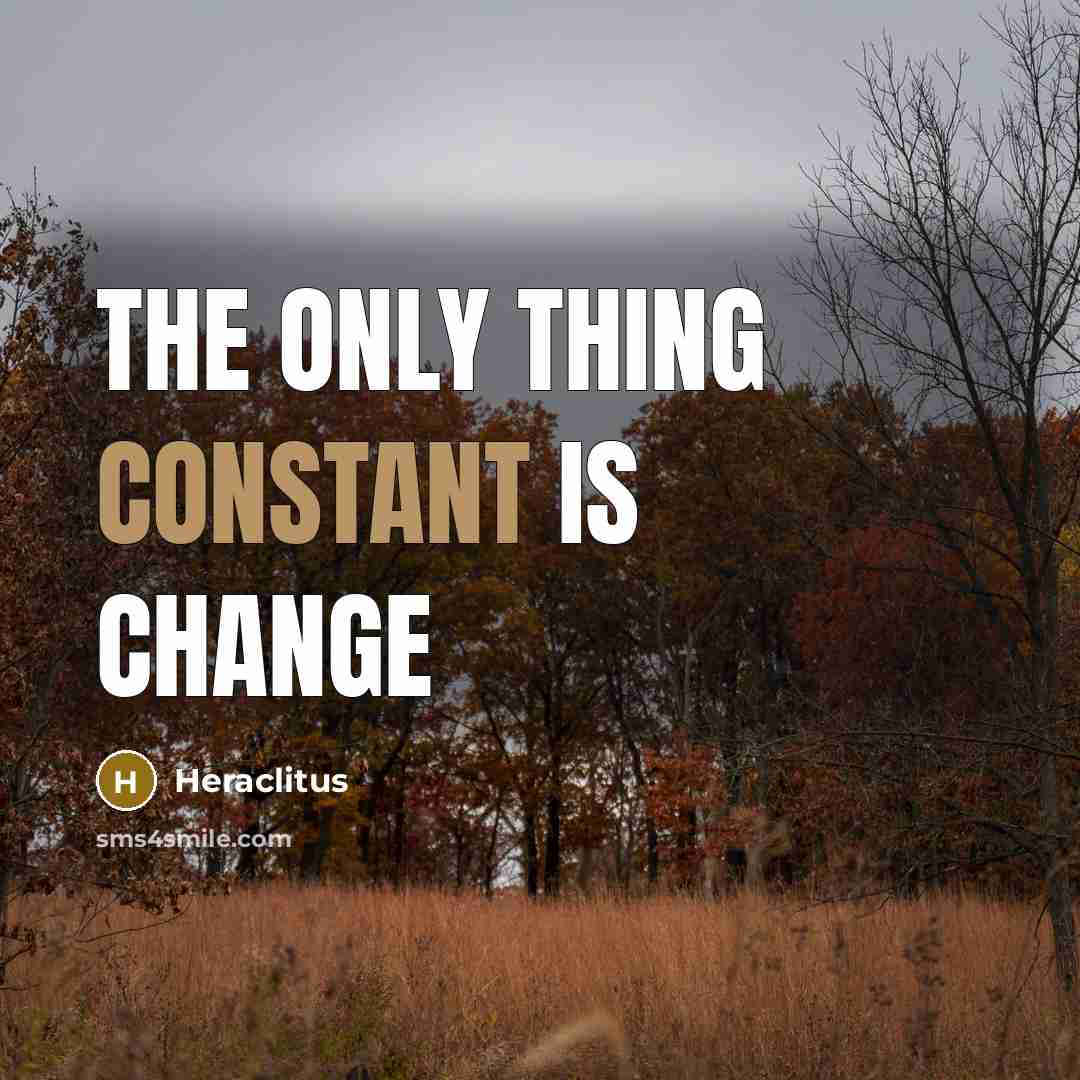 “The only thing constant is change” quote by Heraclitus