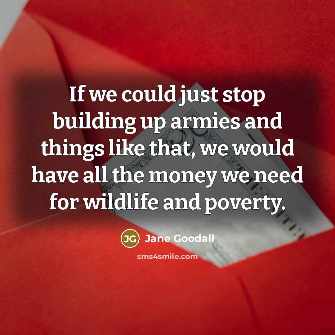 “If we could just stop building up armies and things like that, we would have all the money we need for wildlife and poverty.” quote by Jane Goodall
