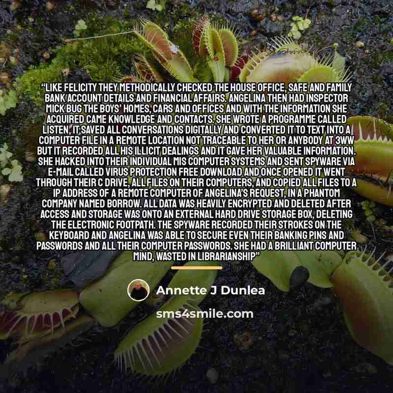 “Like Felicity they methodically checked the house office, safe and family bank account details and financial affairs. Angelina then had Inspector Mick bug the boys’ homes, cars and offices and with the information she acquired came knowledge and contacts. She wrote a programme called listen, it…” quote by Annette J Dunlea