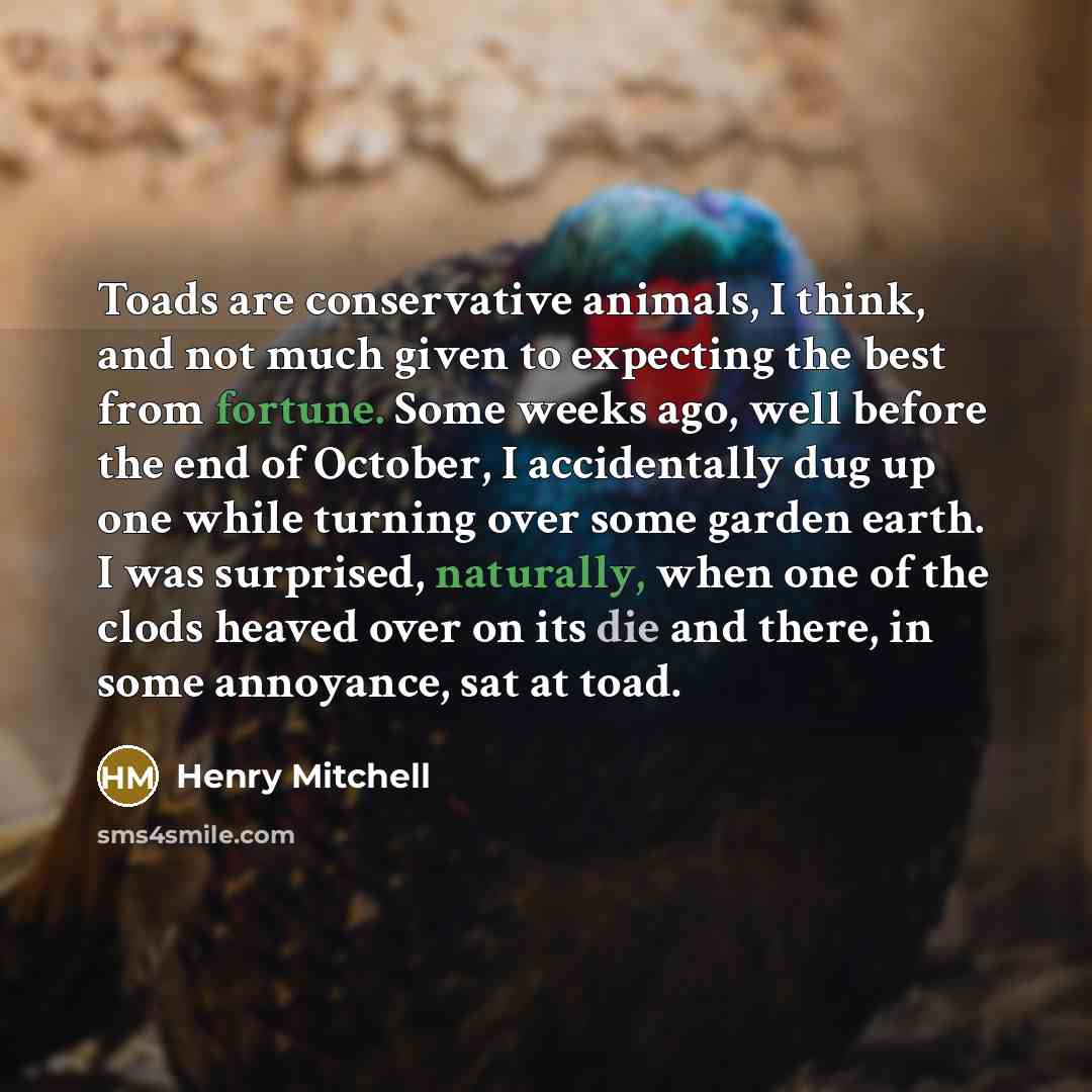 “Toads are conservative animals, I think, and not much given to expecting the best from fortune. Some weeks ago, well before the end of October, I accidentally dug up one while turning over some garden earth. I was surprised, naturally, when one of the clods heaved over on its die and there, in…” quote by Henry Mitchell