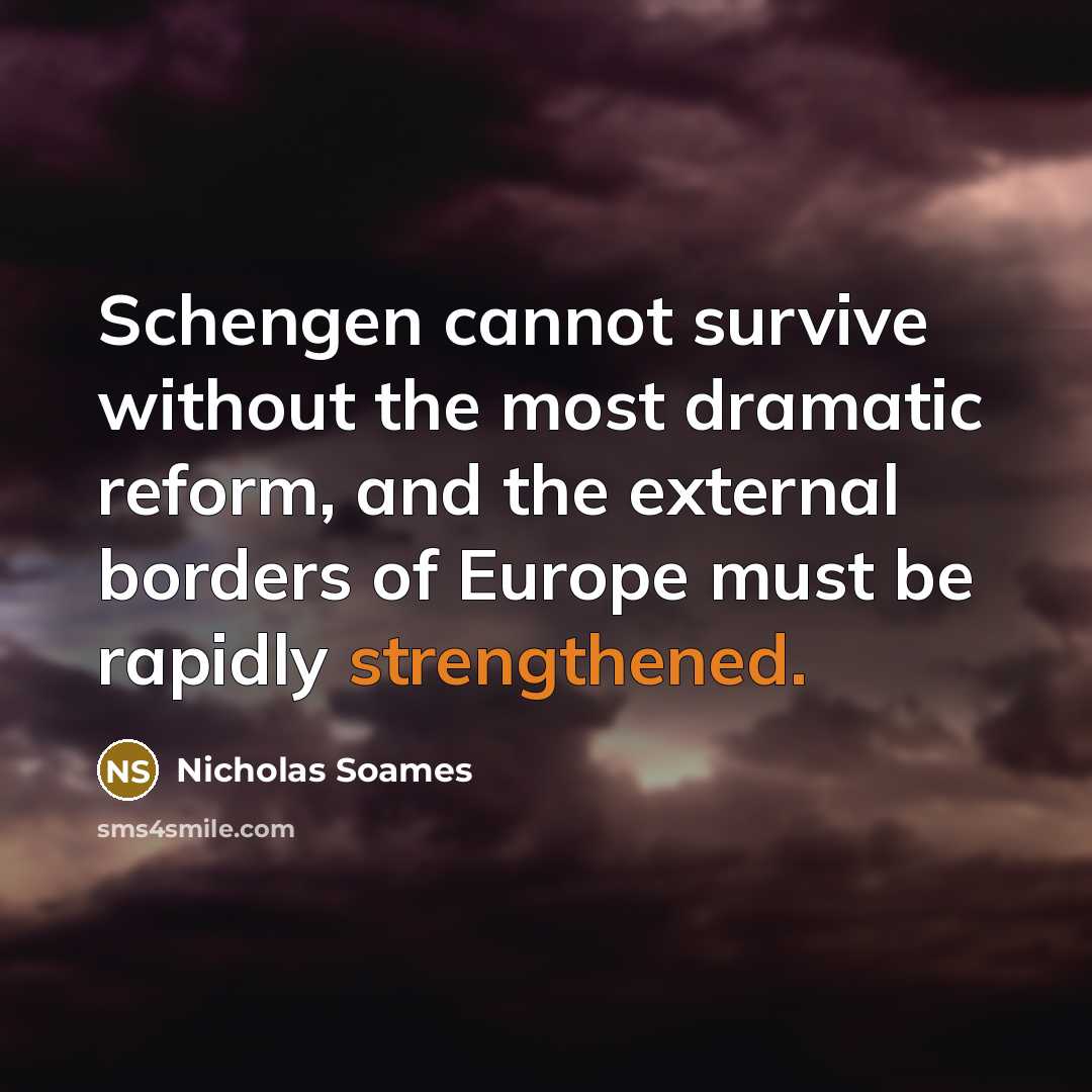 “Schengen cannot survive without the most dramatic reform, and the external borders of Europe must be rapidly strengthened.” quote by Nicholas Soames