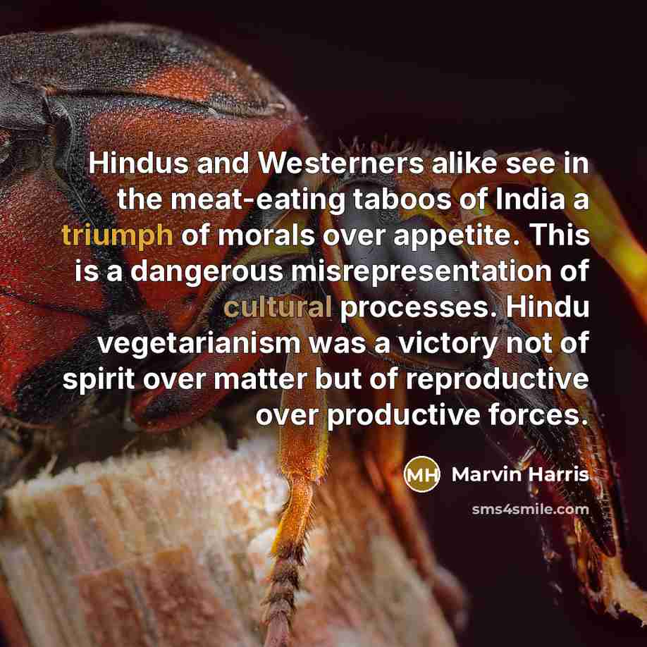 “Hindus and Westerners alike see in the meat-eating taboos of India a triumph of morals over appetite. This is a dangerous misrepresentation of cultural processes. Hindu vegetarianism was a victory not of spirit over matter but of reproductive over productive forces.” quote by Marvin Harris