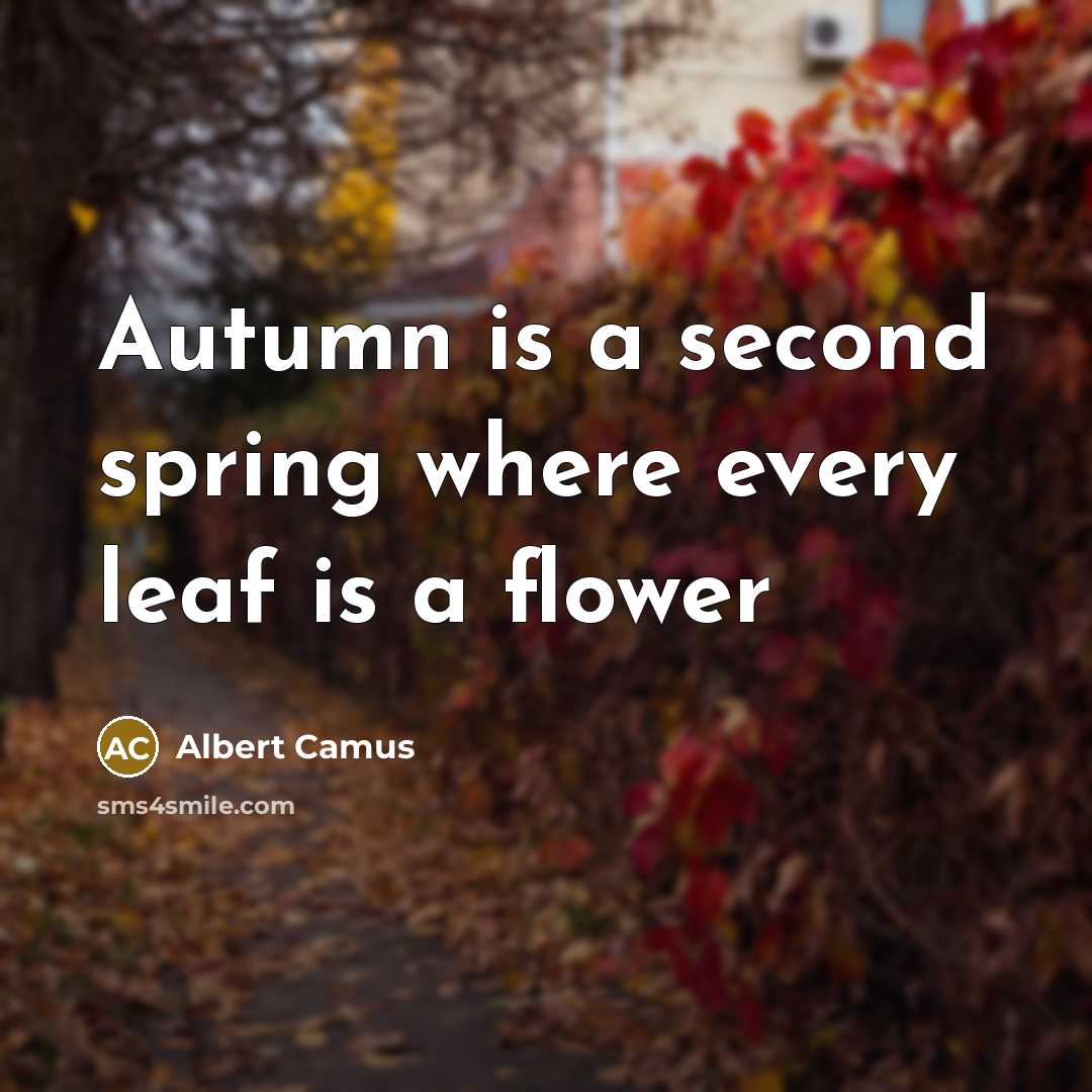 “Autumn is a second spring where every leaf is a flower” quote by Albert Camus