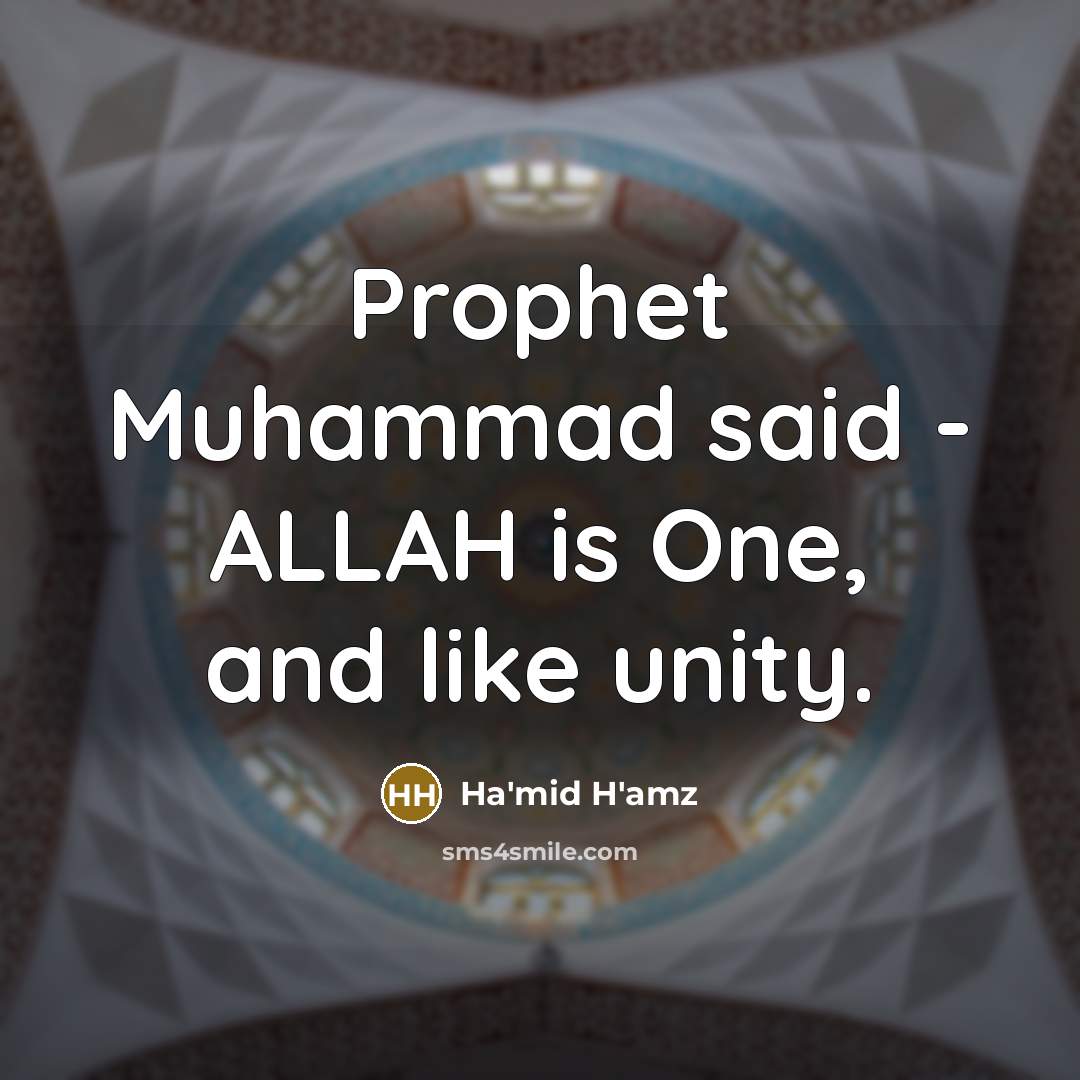 “Prophet Muhammad said - ALLAH is One, and like unity.” quote by Ha'mid H'amz