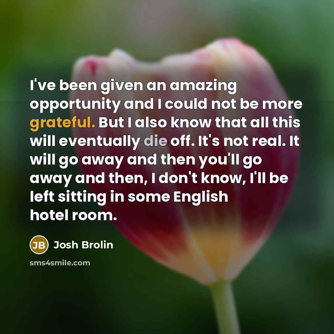 “I've been given an amazing opportunity and I could not be more grateful. But I also know that all this will eventually die off. It's not real. It will go away and then you'll go away and then, I don't know, I'll be left sitting in some English hotel room.” quote by Josh Brolin