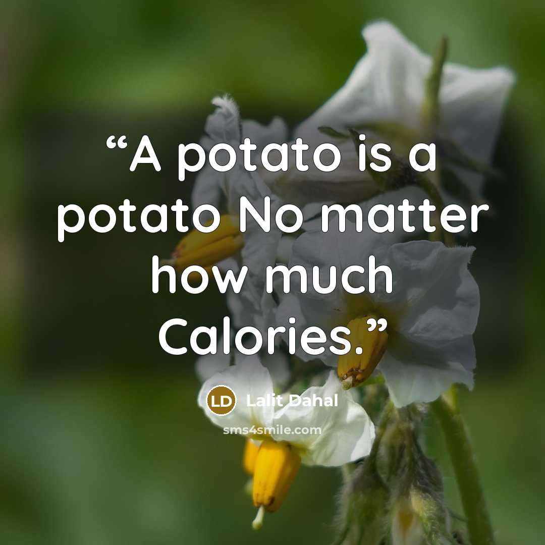 “A potato is a potato No matter how much Calories.” quote by Lalit Dahal