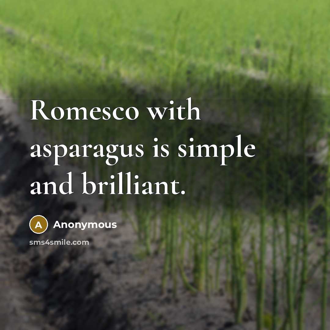“Romesco with asparagus is simple and brilliant.” quote by Anonymous