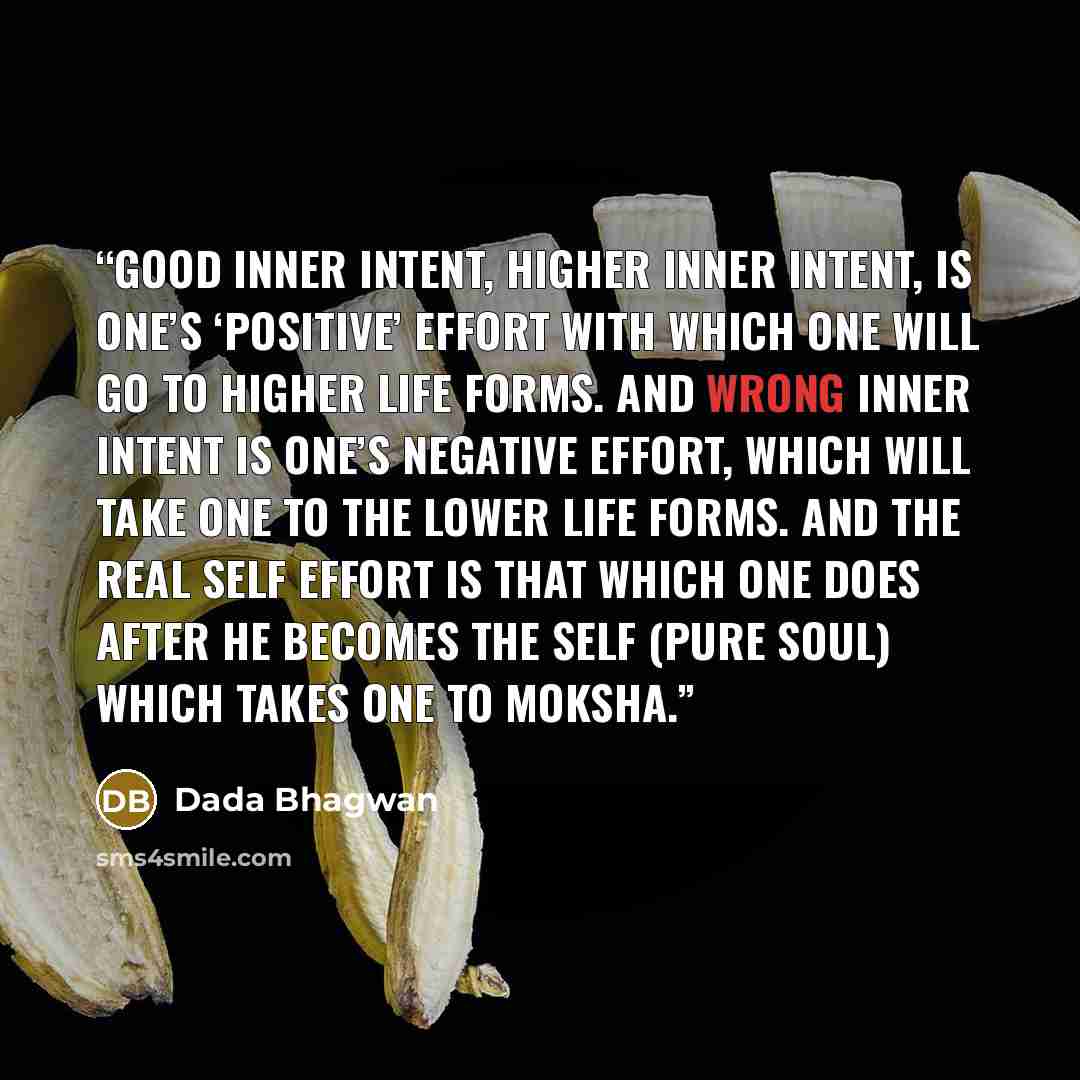 “Good inner intent, higher inner intent, is one’s ‘positive’ effort with which one will go to higher life forms. And wrong inner intent is one’s negative effort, which will take one to the lower life forms. And the real self effort is that which one does after he becomes the Self (Pure Soul) which…” quote by Dada Bhagwan
