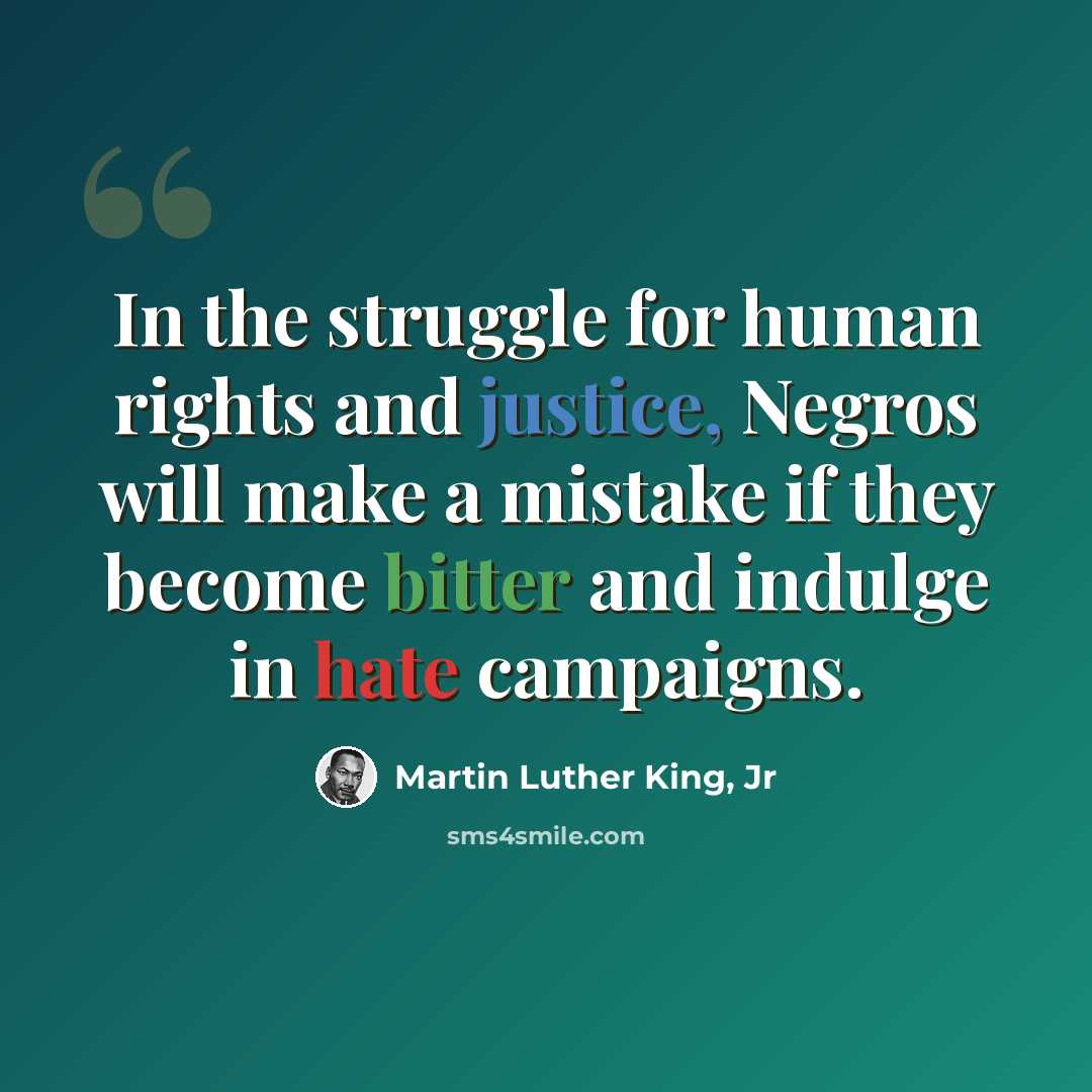 “In the struggle for human rights and justice, Negros will make a mistake if they become bitter and indulge in hate campaigns.” quote by Martin Luther King, Jr
