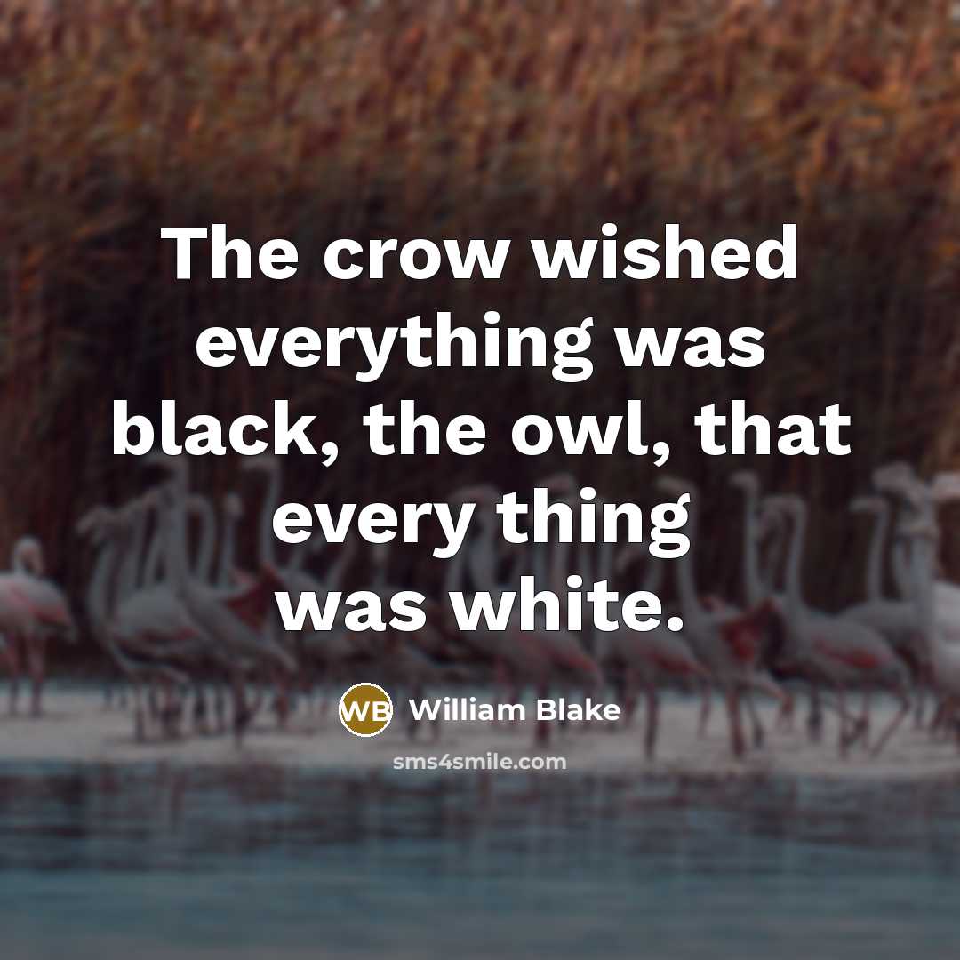 “The crow wished everything was black, the owl, that every thing was white.” quote by William Blake