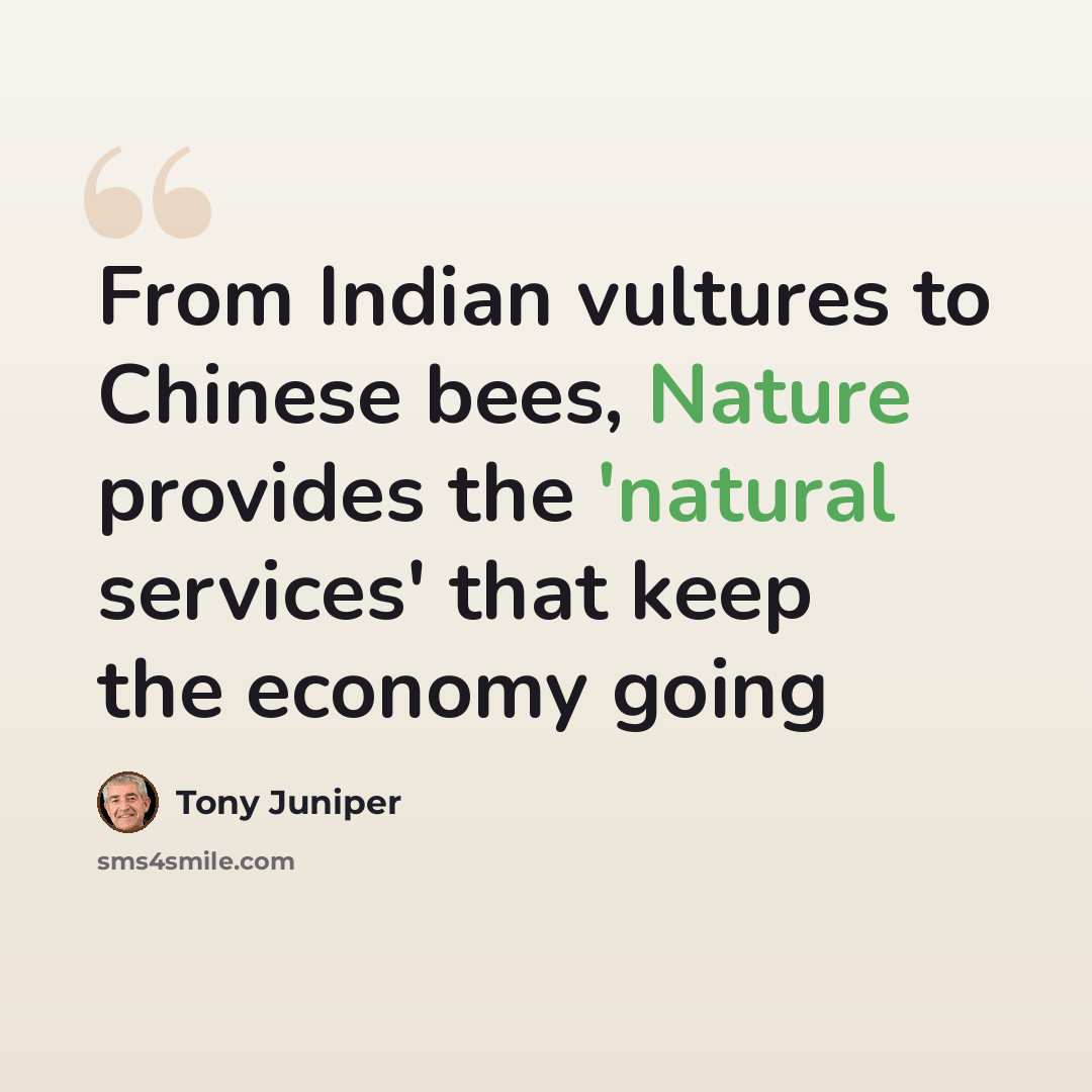 “From Indian vultures to Chinese bees, Nature provides the 'natural services' that keep the economy going” quote by Tony Juniper