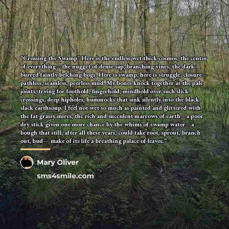 “Crossing the Swamp" Here is the endless wet thick cosmos, the center of everything—the nugget of dense sap, branching vines, the dark burred faintly belching bogs. Here is swamp, here is struggle, closure— pathless, seamless, peerless mud. My bones knock together at the pale joints, trying for…” quote by Mary Oliver