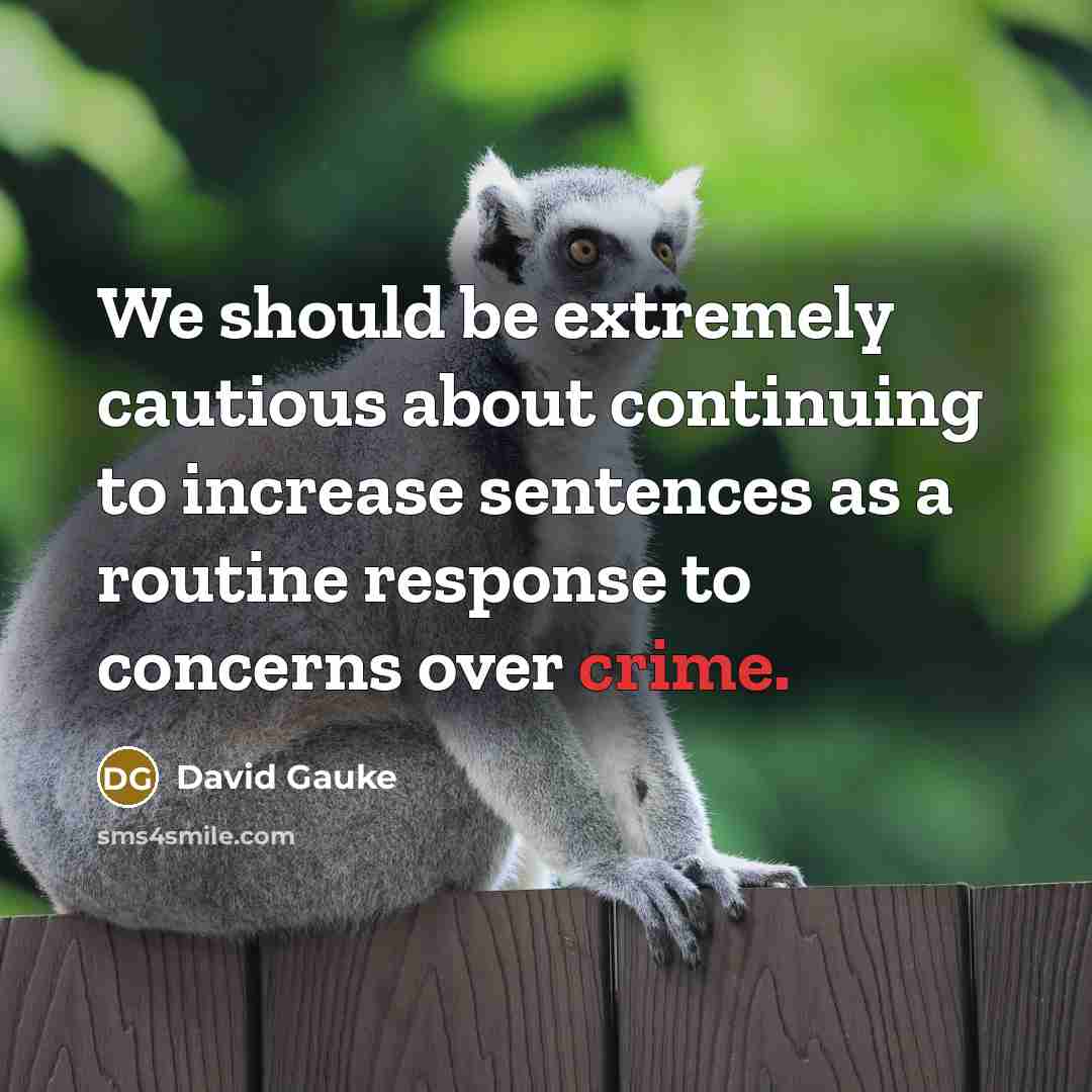 “We should be extremely cautious about continuing to increase sentences as a routine response to concerns over crime.” quote by David Gauke