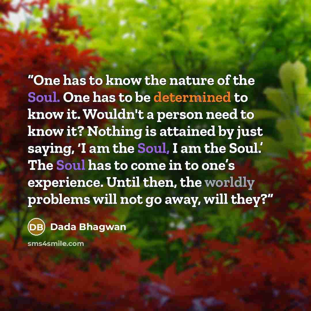 “One has to know the nature of the Soul. One has to be determined to know it. Wouldn't a person need to know it? Nothing is attained by just saying, ‘I am the Soul, I am the Soul.’ The Soul has to come in to one’s experience. Until then, the worldly problems will not go away, will they?” quote by Dada Bhagwan