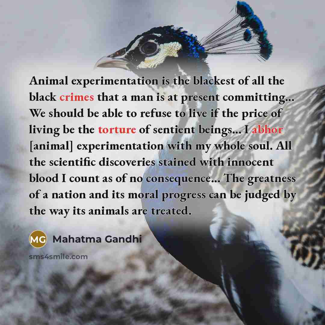 “Animal experimentation is the blackest of all the black crimes that a man is at present committing... We should be able to refuse to live if the price of living be the torture of sentient beings... I abhor [animal] experimentation with my whole soul. All the scientific discoveries stained with…” quote by Mahatma Gandhi