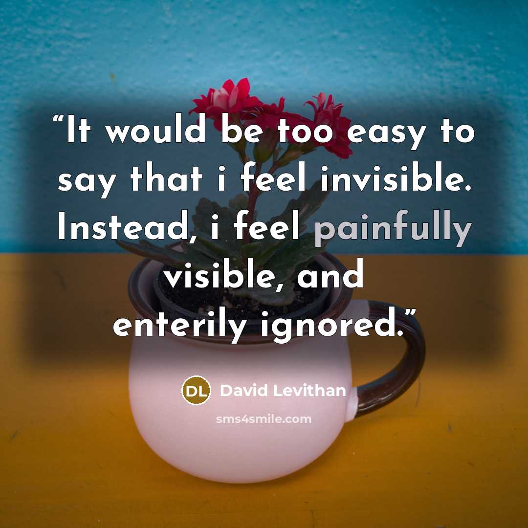 “It would be too easy to say that i feel invisible. Instead, i feel painfully visible, and enterily ignored.” quote by David Levithan