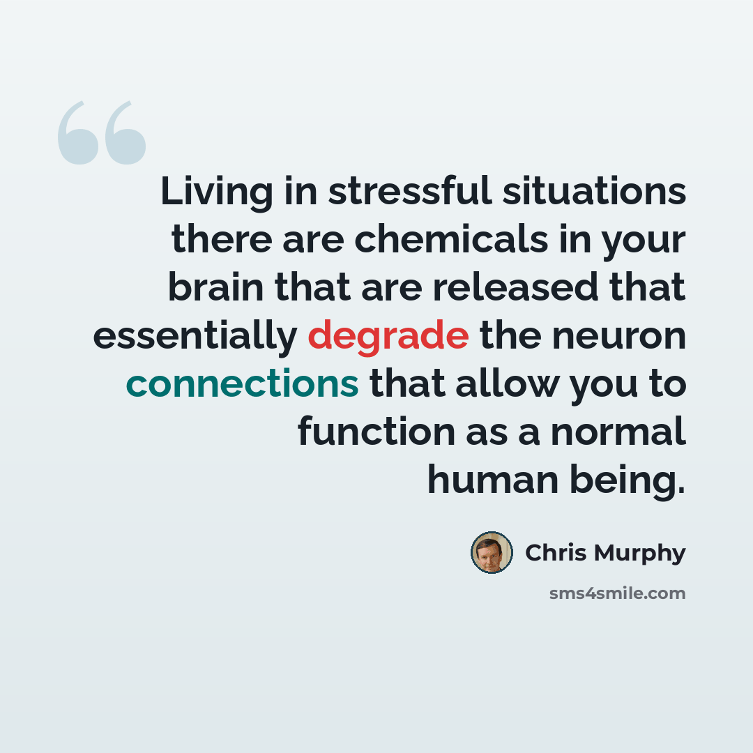 “Living in stressful situations there are chemicals in your brain that are released that essentially degrade the neuron connections that allow you to function as a normal human being.” quote by Chris Murphy