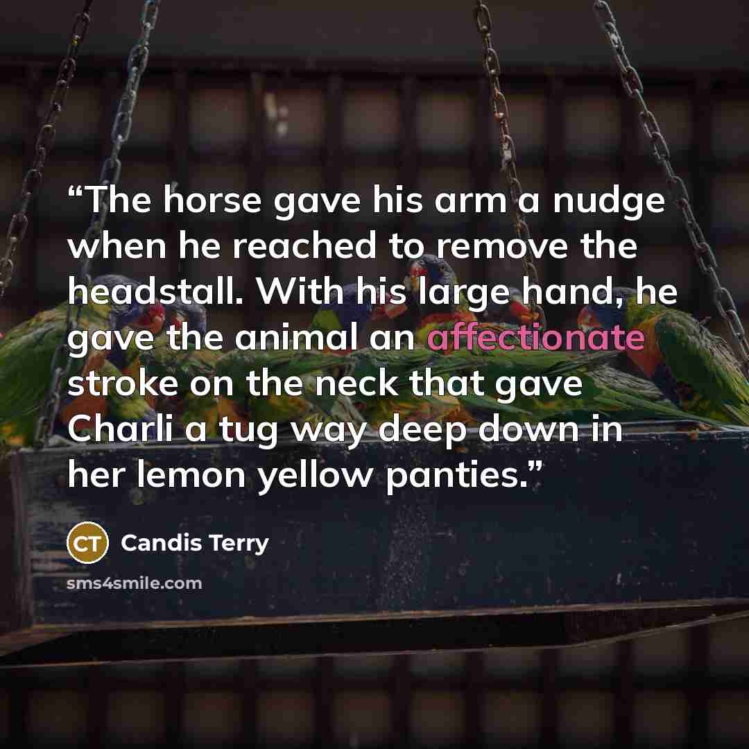“The horse gave his arm a nudge when he reached to remove the headstall. With his large hand, he gave the animal an affectionate stroke on the neck that gave Charli a tug way deep down in her lemon yellow panties.” quote by Candis Terry
