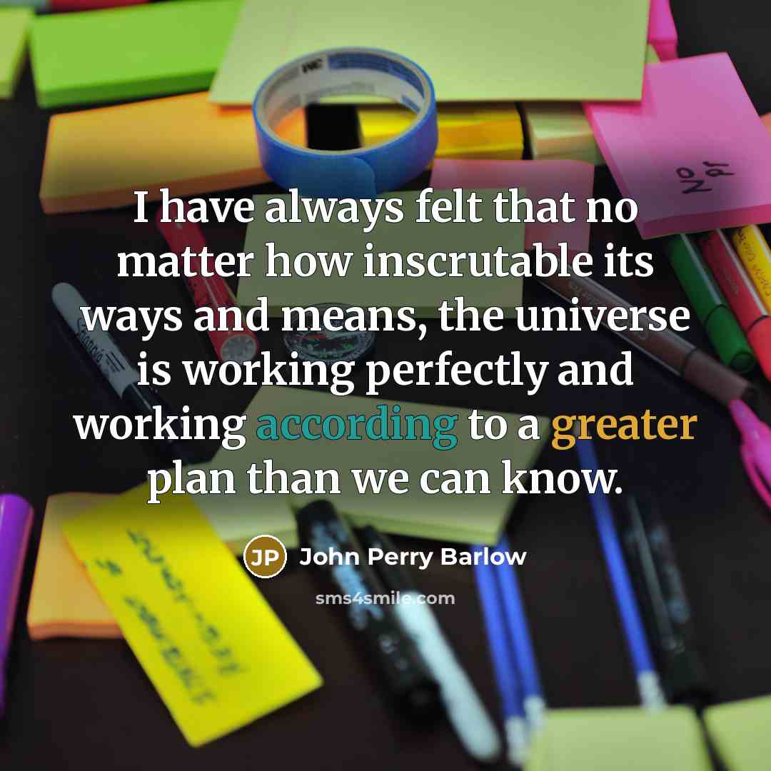 “I have always felt that no matter how inscrutable its ways and means, the universe is working perfectly and working according to a greater plan than we can know.” quote by John Perry Barlow