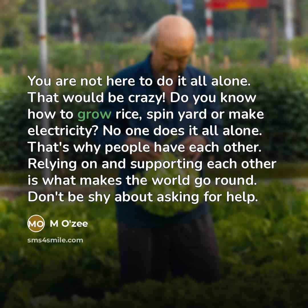 “You are not here to do it all alone. That would be crazy! Do you know how to grow rice, spin yard or make electricity? No one does it all alone. That's why people have each other. Relying on and supporting each other is what makes the world go round. Don't be shy about asking for help.” quote by M O'zee