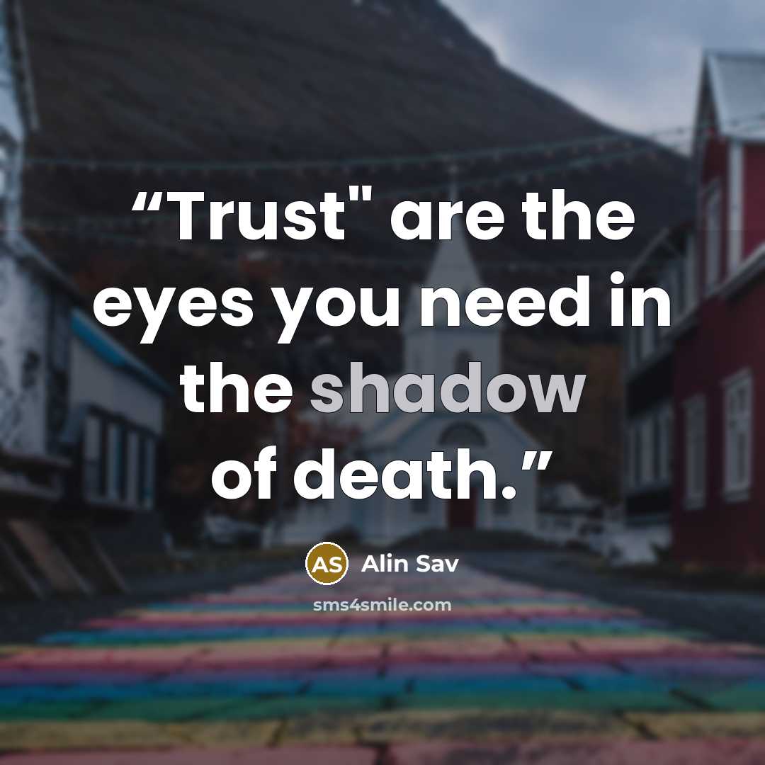 “Trust" are the eyes you need in the shadow of death.” quote by Alin Sav