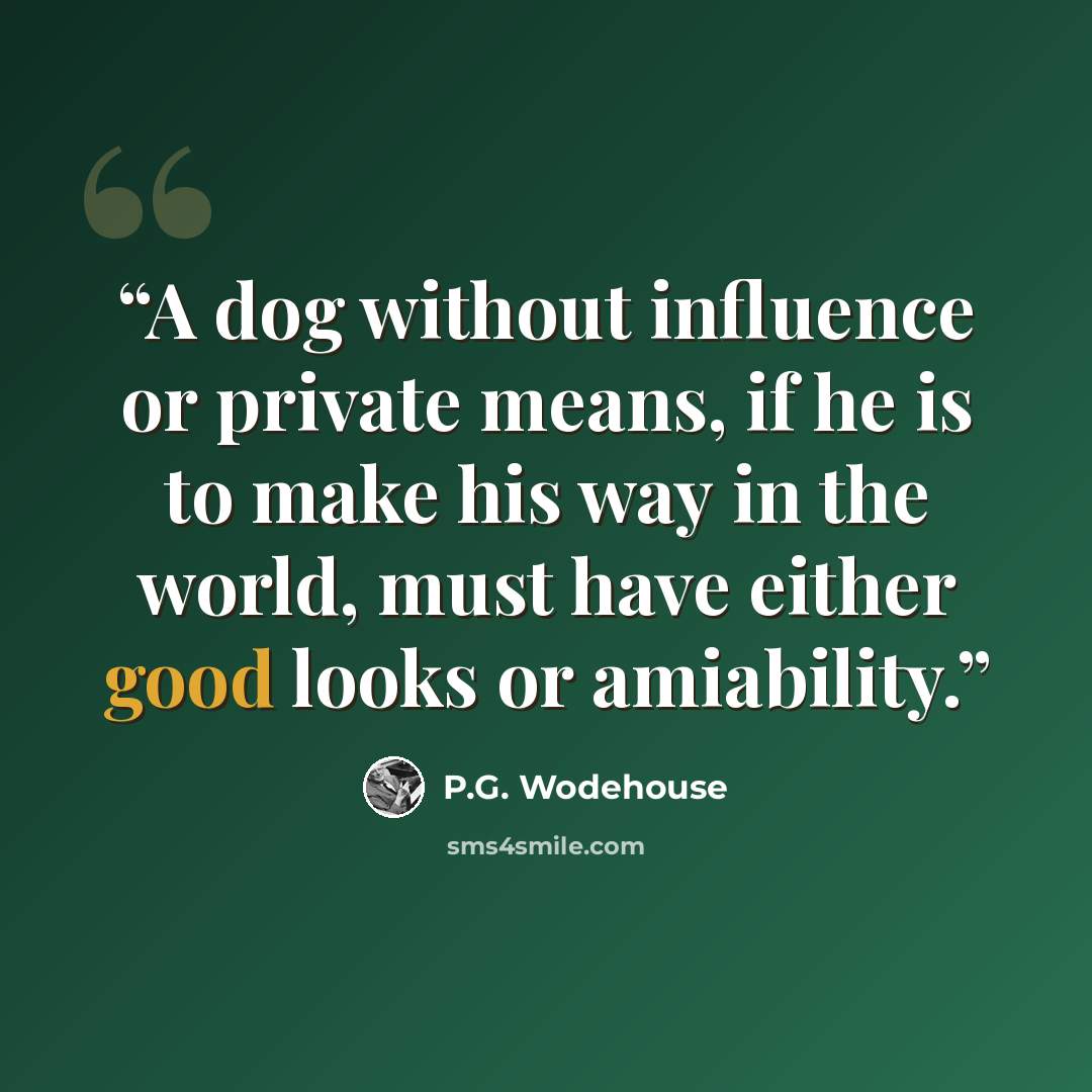 “A dog without influence or private means, if he is to make his way in the world, must have either good looks or amiability.” quote by P.G. Wodehouse