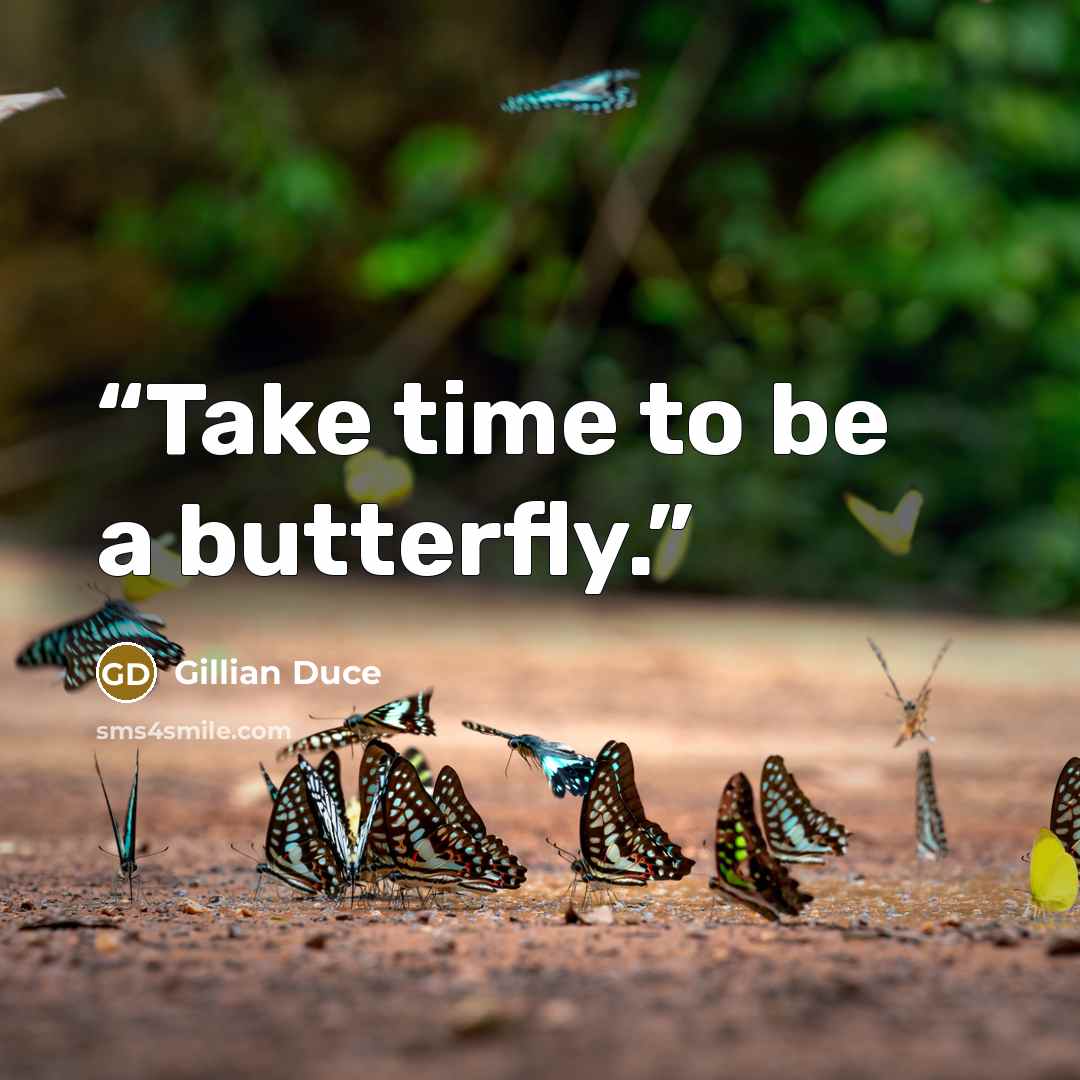 “Take time to be a butterfly.” quote by Gillian Duce