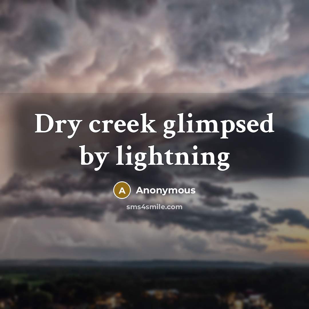 “Dry creek glimpsed by lightning” quote by Anonymous