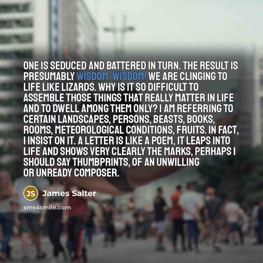 “One is seduced and battered in turn. The result is presumably wisdom. Wisdom! We are clinging to life like lizards. Why is it so difficult to assemble those things that really matter in life and to dwell among them only? I am referring to certain landscapes, persons, beasts, books, rooms…” quote by James Salter