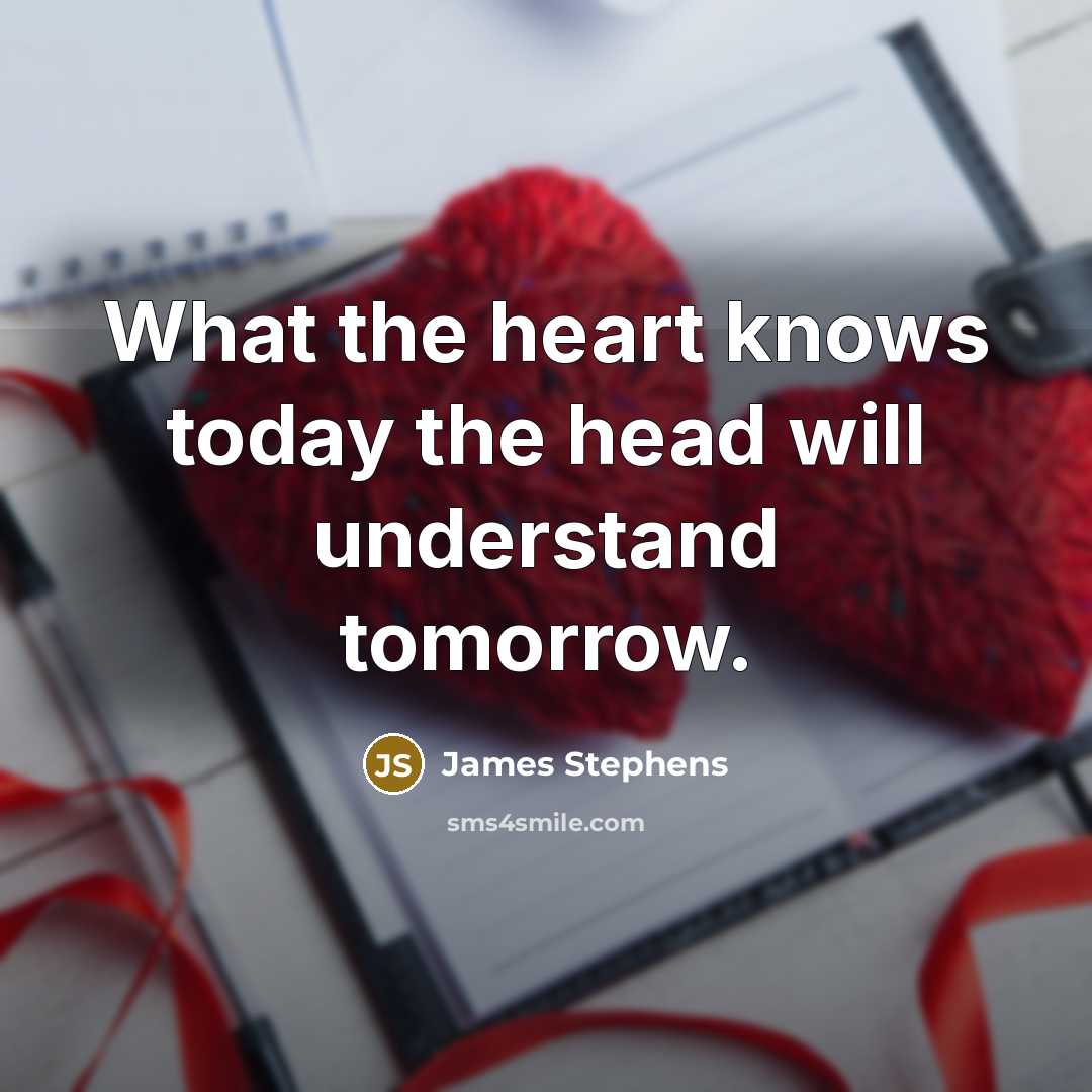 “What the heart knows today the head will understand tomorrow.” quote by James Stephens