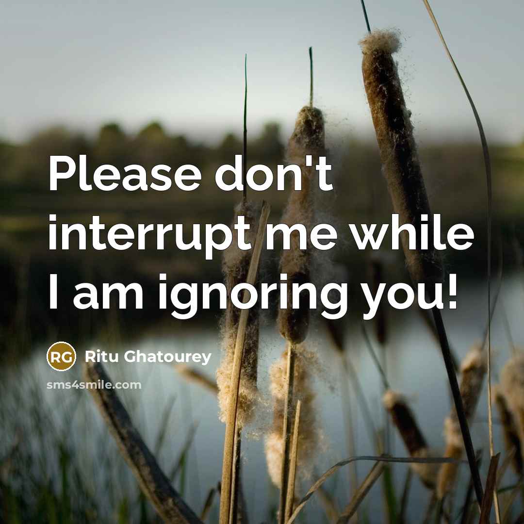 “Please don't interrupt me while I am ignoring you!” quote by Ritu Ghatourey