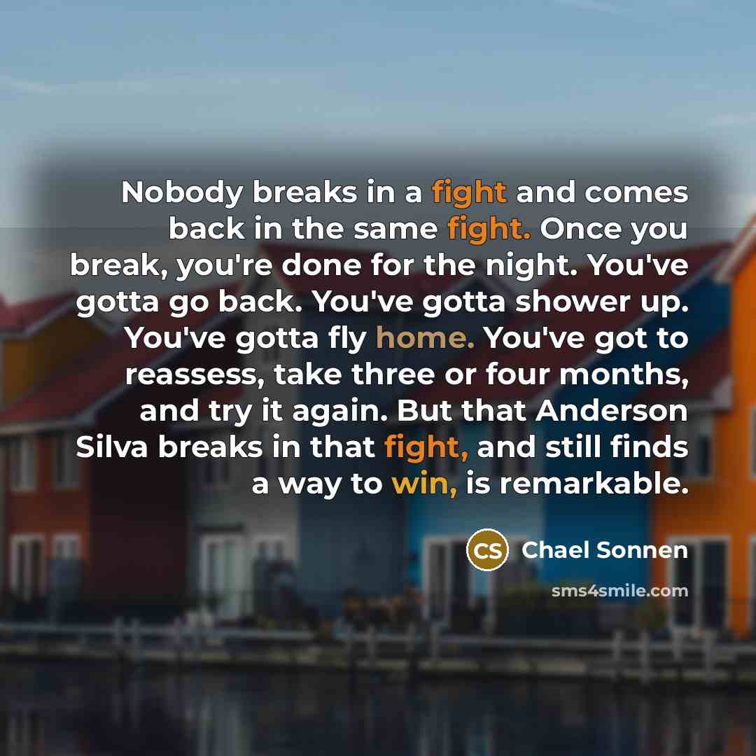“Nobody breaks in a fight and comes back in the same fight. Once you break, you're done for the night. You've gotta go back. You've gotta shower up. You've gotta fly home. You've got to reassess, take three or four months, and try it again. But that Anderson Silva breaks in that fight, and still…” quote by Chael Sonnen