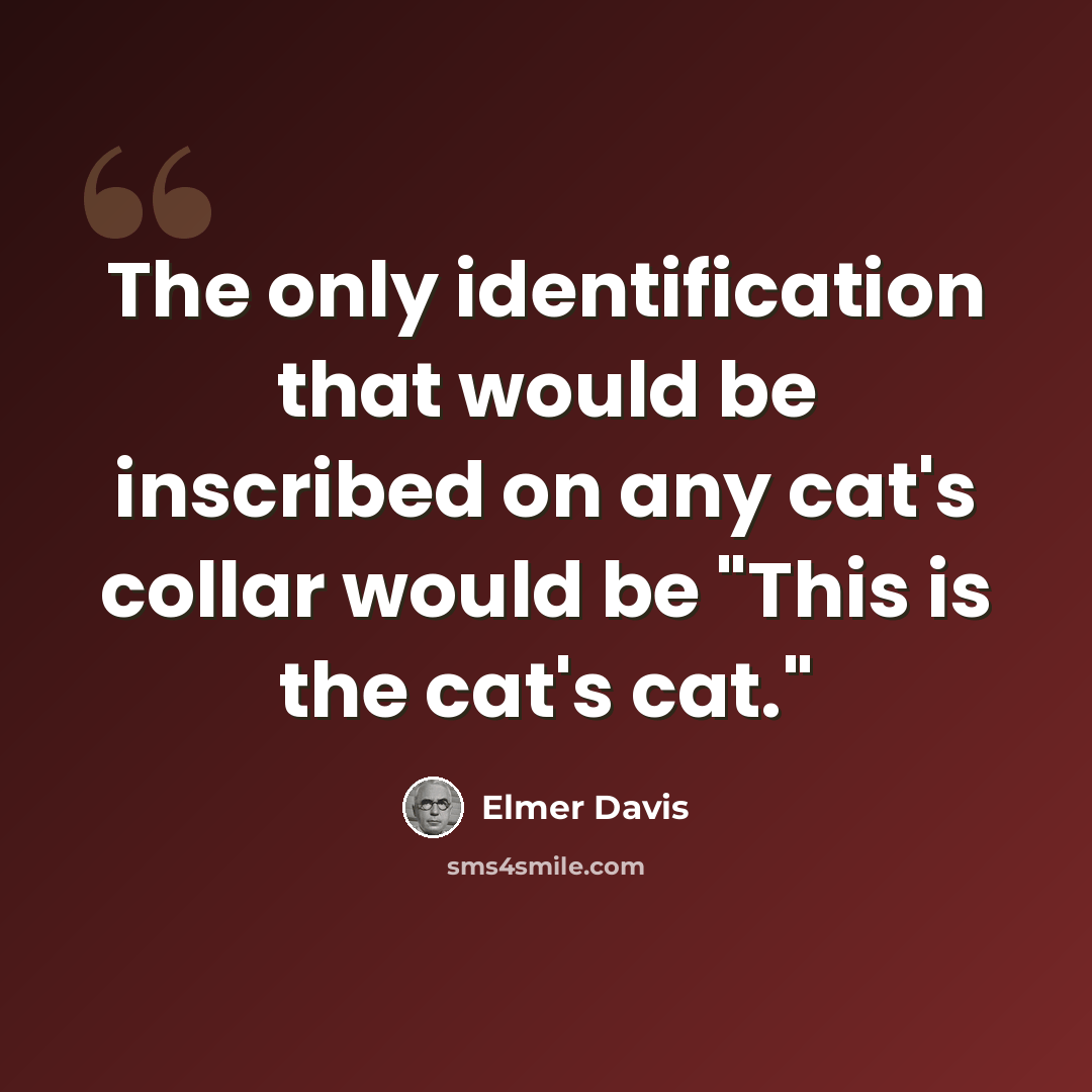 “The only identification that would be inscribed on any cat's collar would be "This is the cat's cat."” quote by Elmer Davis