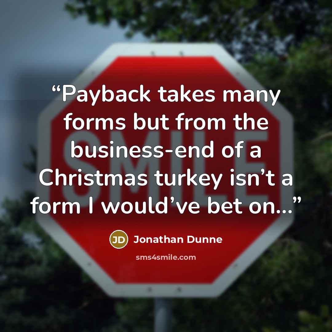 “Payback takes many forms but from the business-end of a Christmas turkey isn’t a form I would’ve bet on...” quote by Jonathan Dunne