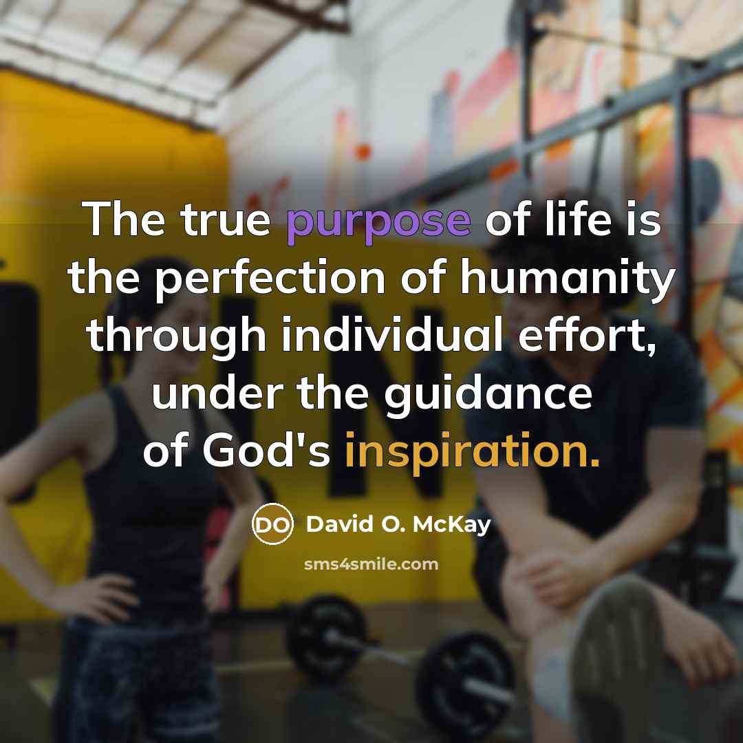 “The true purpose of life is the perfection of humanity through individual effort, under the guidance of God's inspiration.” quote by David O. McKay