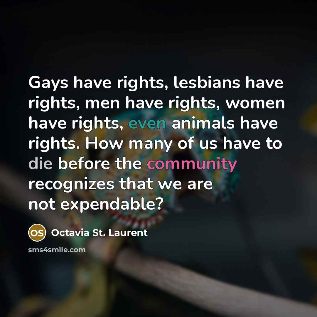 “Gays have rights, lesbians have rights, men have rights, women have rights, even animals have rights. How many of us have to die before the community recognizes that we are not expendable?” quote by Octavia St. Laurent